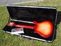 Rickenbacker 660/12 , Fireglo: Full Instrument - Rear