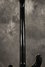 Rickenbacker 4001/4 , Jetglo: Neck - Rear