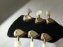 Rickenbacker 625/6 , Jetglo: Headstock - Rear