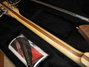 Rickenbacker 330/12 , Natural Walnut: Close up - Free2