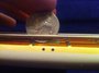 Rickenbacker 4001/4 Mod, White: Neck - Rear