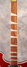 Rickenbacker 660/12 , Ruby: Neck - Front