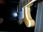 Rickenbacker 481/6 Slant Fret, Mapleglo: Free image