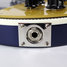 Rickenbacker 660/12 , Midnightblue: Free image2
