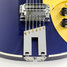 Rickenbacker 660/12 , Midnightblue: Close up - Free