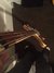 Rickenbacker 4001/4 , Mapleglo: Close up - Free2