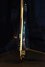 Rickenbacker 4003/4 , Azureglo: Close up - Free
