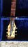 Rickenbacker 430/6 , Brown: Headstock