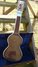 Rickenbacker G/6 LapSteel, Silver: Full Instrument - Rear