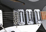 Rickenbacker 325/6 f hole, Jetglo: Free image