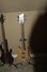 Rickenbacker 2030/4 , Mapleglo: Free image