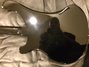 Sep 1978 Rickenbacker 4001/4 , Jetglo: Body - Rear