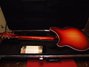 Rickenbacker 360/12 , Fireglo: Full Instrument - Rear
