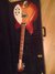 Rickenbacker 360/12 , Fireglo: Full Instrument - Front