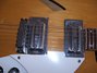 Rickenbacker 335/6 Mod, Mapleglo: Free image