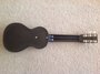 Rickenbacker B Post War/6 LapSteel, Black: Full Instrument - Rear