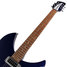 Rickenbacker 330/6 , Midnightblue: Neck - Front