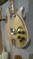 Rickenbacker 660/6 Mod, Mapleglo: Close up - Free