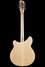 Rickenbacker 370/12 , Mapleglo: Full Instrument - Rear
