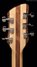 Rickenbacker 360/6 , Mapleglo: Headstock - Rear