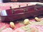 Rickenbacker 100/6 LapSteel, Burgundy: Free image