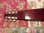 Rickenbacker 100/6 LapSteel, Burgundy: Headstock - Rear