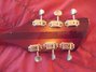Rickenbacker 360/6 V64, Fireglo: Headstock - Rear