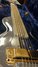 Rickenbacker G/6 LapSteel, Silver: Full Instrument - Front