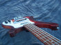 Rickenbacker 4003/5 S, Fireglo: Close up - Free