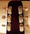 Rickenbacker 100/6 LapSteel, Burgundy: Headstock - Rear