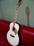 Rickenbacker 700/12 PW Build (acoustic), Custom: Full Instrument - Front