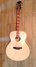 Rickenbacker 700/12 PW Build (acoustic), Custom: Close up - Free