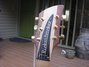 Rickenbacker 650/6 Sierra, Natural Walnut: Headstock