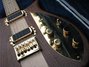 Rickenbacker 650/6 Sierra, Natural Walnut: Free image
