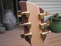 Rickenbacker 650/6 Sierra, Natural Walnut: Headstock - Rear