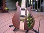 Rickenbacker 650/6 Sierra, Natural Walnut: Body - Front