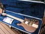 Rickenbacker 650/6 Sierra, Natural Walnut: Full Instrument - Front
