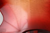 Rickenbacker 345/6 , Fireglo: Close up - Free