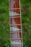 Rickenbacker 360/6 V64, Fireglo: Neck - Front