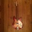 Rickenbacker 330/6 , Fireglo: Full Instrument - Front