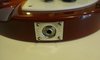 Rickenbacker 330/6 , Fireglo: Close up - Free