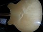 Jun 2013 Rickenbacker 360/12 , Mapleglo: Body - Rear