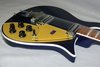 Rickenbacker 660/12 , Midnightblue: Close up - Free