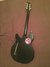 Rickenbacker 330/6 , Jetglo: Full Instrument - Rear