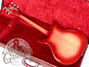 Rickenbacker ES16/6 Ryder, Fireglo: Full Instrument - Rear