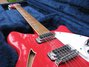 Rickenbacker 360/12 , Ruby: Close up - Free