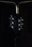 Rickenbacker 360/12 , Jetglo: Headstock - Rear