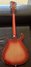 Rickenbacker 620/12 , Fireglo: Full Instrument - Rear