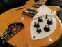 Rickenbacker 360/12 , Mapleglo: Close up - Free2