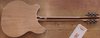 Rickenbacker 370/12 , Mapleglo: Full Instrument - Rear
